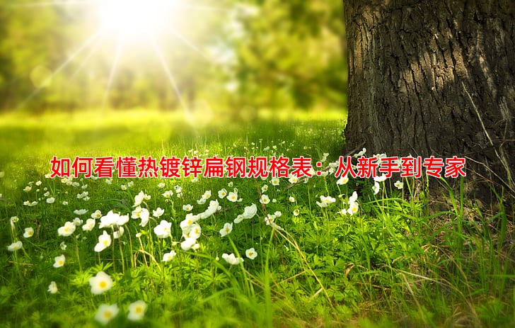 如何看懂热镀锌扁钢规格表：从新手到专家