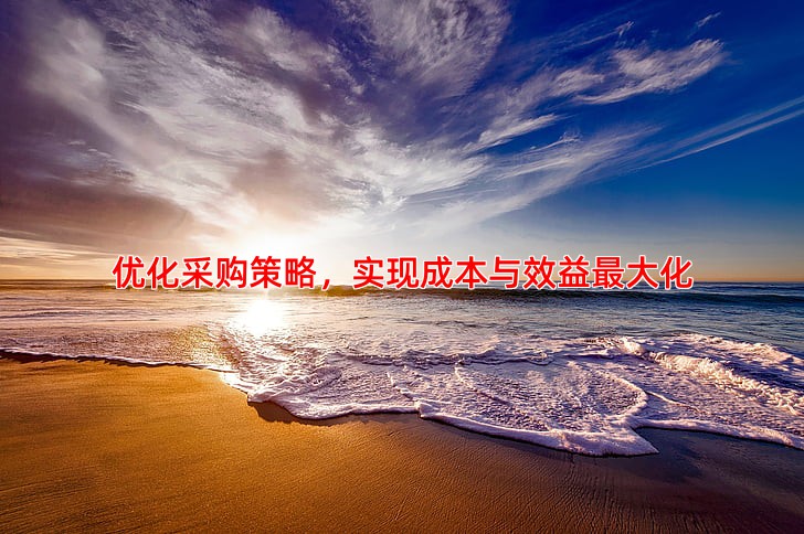 优化采购策略，实现成本与效益***大化