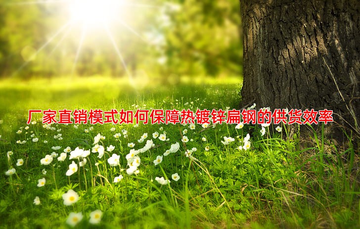 厂家直销模式如何保障热镀锌扁钢的供货效率