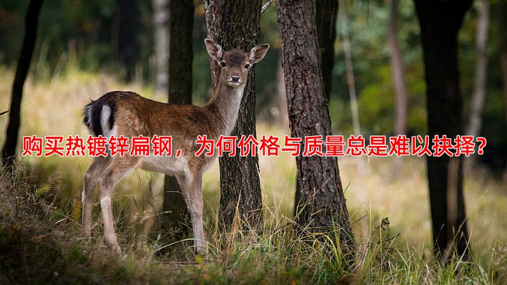 购买热镀锌扁钢，为何价格与质量总是难以抉择？