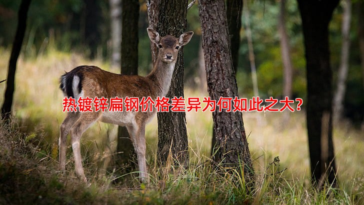 热镀锌扁钢价格差异为何如此之大？