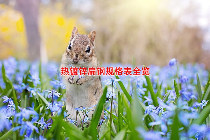 热镀锌扁钢规格表全览