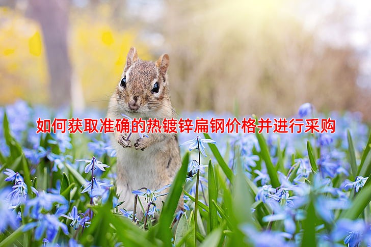 如何获取准确的热镀锌扁钢价格并进行采购