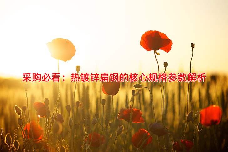 采购必看：热镀锌扁钢的核心规格参数解析
