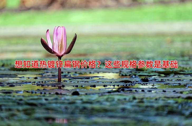 想知道热镀锌扁钢价格？这些规格参数是基础
