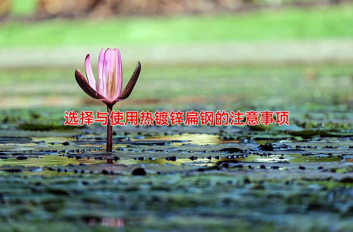 选择与使用热镀锌扁钢的注意事项