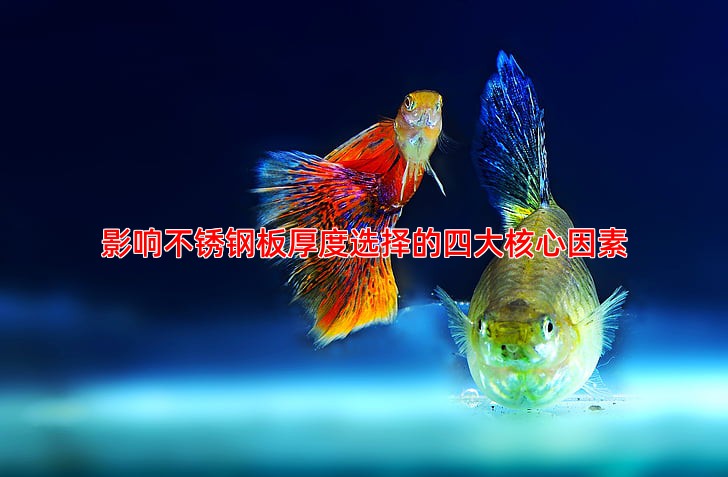 影响不锈钢板厚度选择的四大核心因素