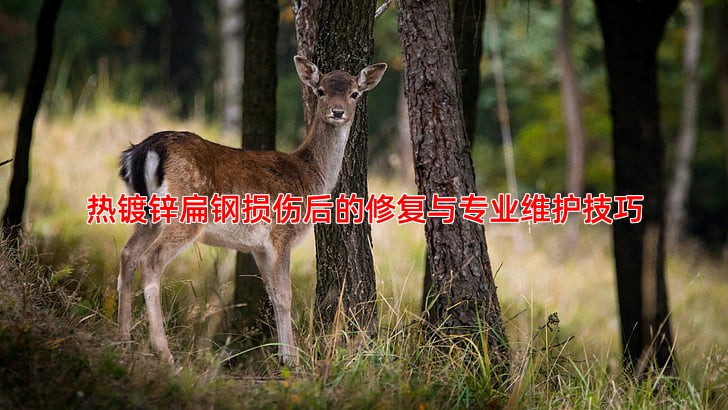 热镀锌扁钢损伤后的修复与专业维护技巧