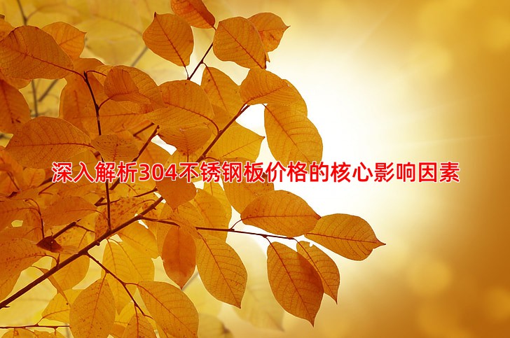304不锈钢板价格受哪些因素影响 如何降低成本