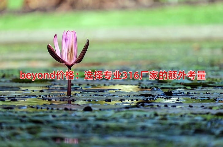  beyond价格：选择专业316厂家的额外考量