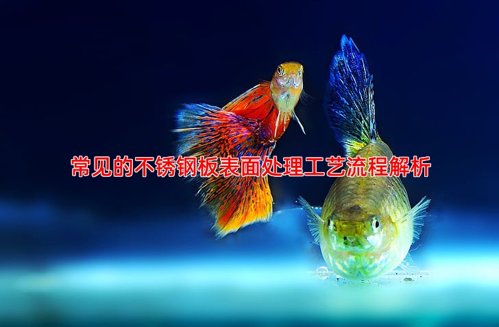 常见的不锈钢板表面处理工艺流程解析
