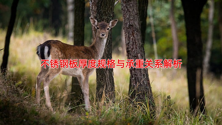 不锈钢板厚度规格与承重关系 如何计算与选择