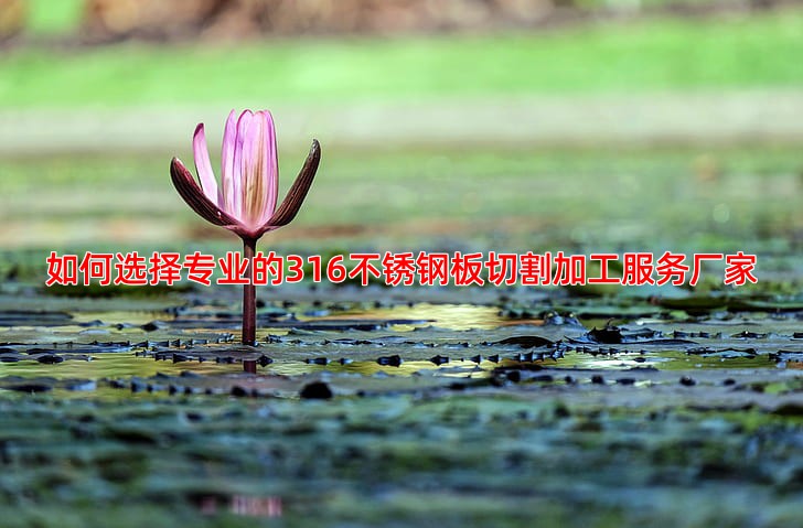 316不锈钢板切割加工服务厂家推荐