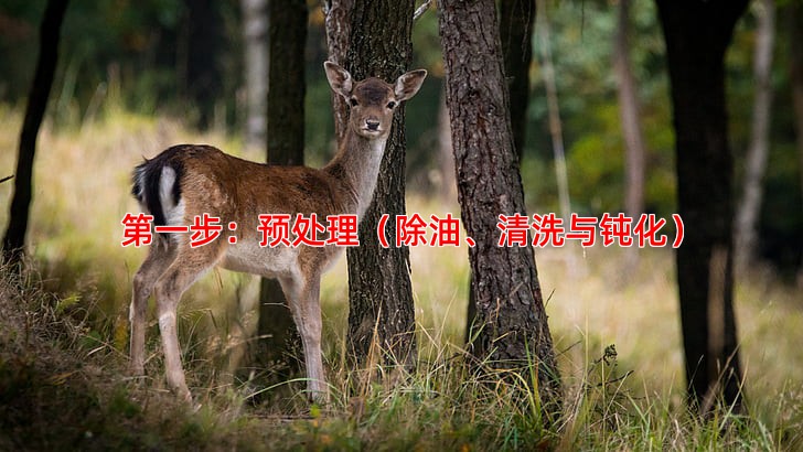 第一步：预处理（除油、清洗与钝化）