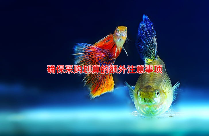 确保采购划算的额外注意事项