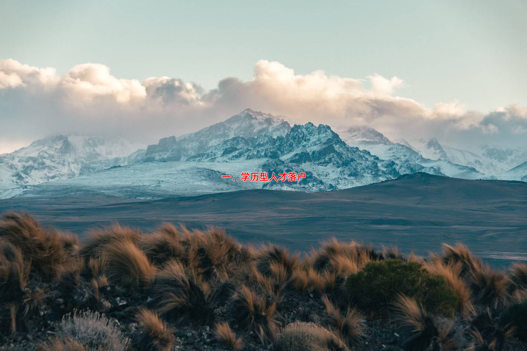 一、学历型人才落户