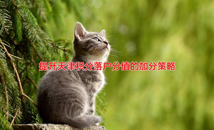 提升天津积分落户分值的加分策略