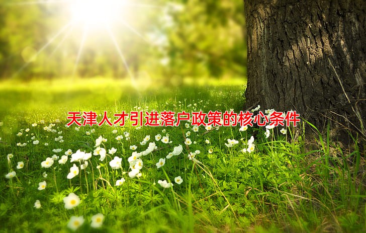 天津人才引进落户政策的核心条件