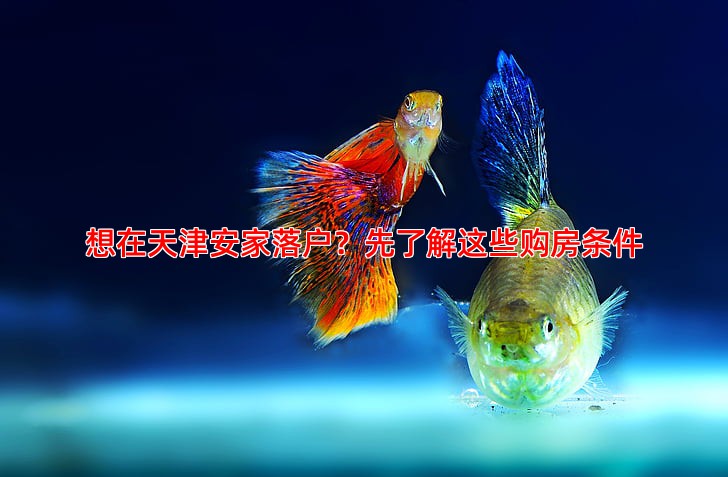 想在天津安家落户？先了解这些购房条件