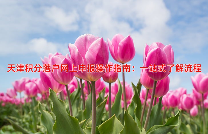 天津积分落户网上申报操作指南：一站式了解流程