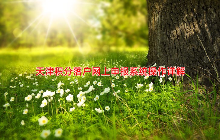 天津积分落户网上申报系统操作详解