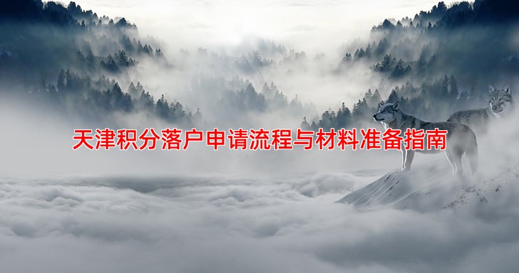 天津积分落户申请流程与材料准备指南
