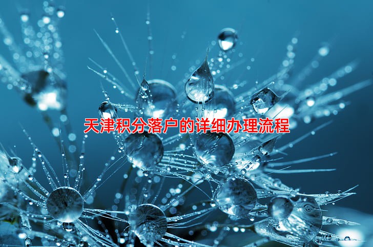 天津积分落户的详细办理流程