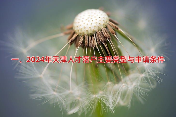 一、2024年天津人才落户主要类型与申请条件