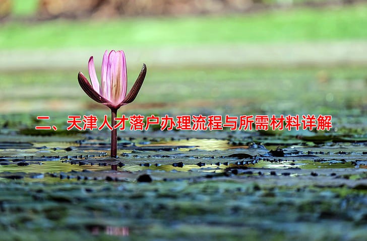 二、天津人才落户办理流程与所需材料详解