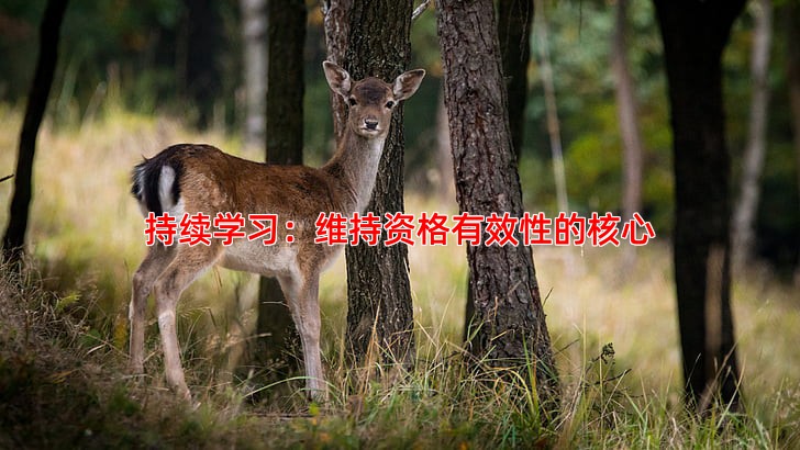 持续学习：维持资格有效性的核心