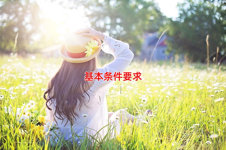 基本条件要求