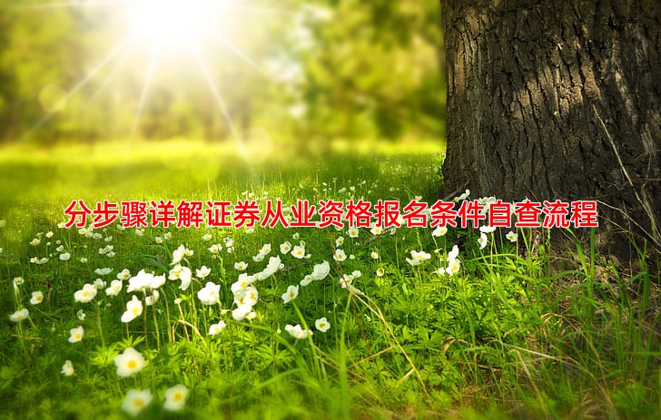 分步骤详解证券从业资格报名条件自查流程