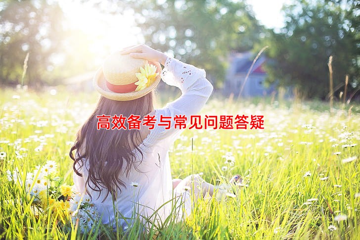 高效备考与常见问题答疑