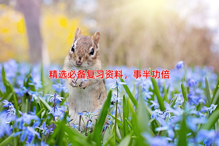 精选必备复习资料，事半功倍