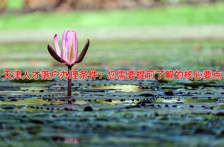 天津人才落户办理条件：您需要提前了解的核心要点