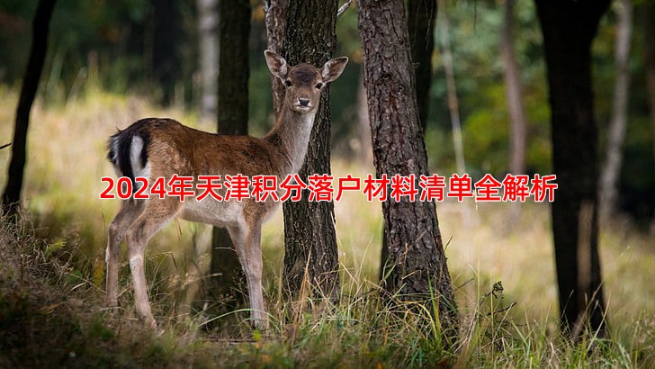 2024年天津积分落户材料清单全解析