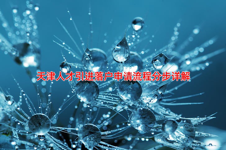 天津人才引进落户申请流程分步详解