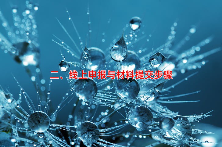 二、线上申报与材料提交步骤