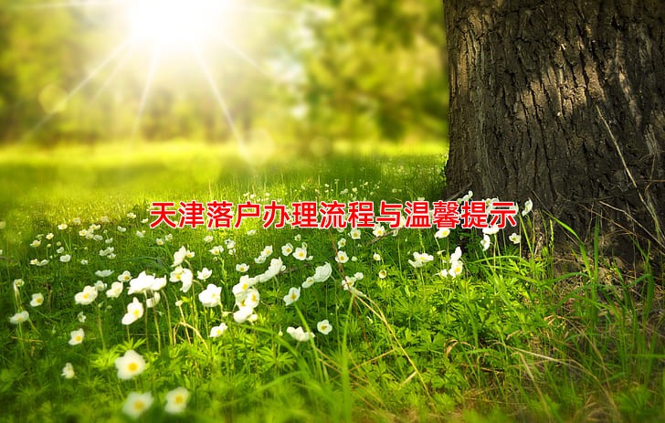 天津落户办理流程与温馨提示