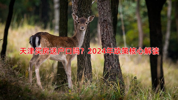 天津买房送户口吗？2024年政策核心解读