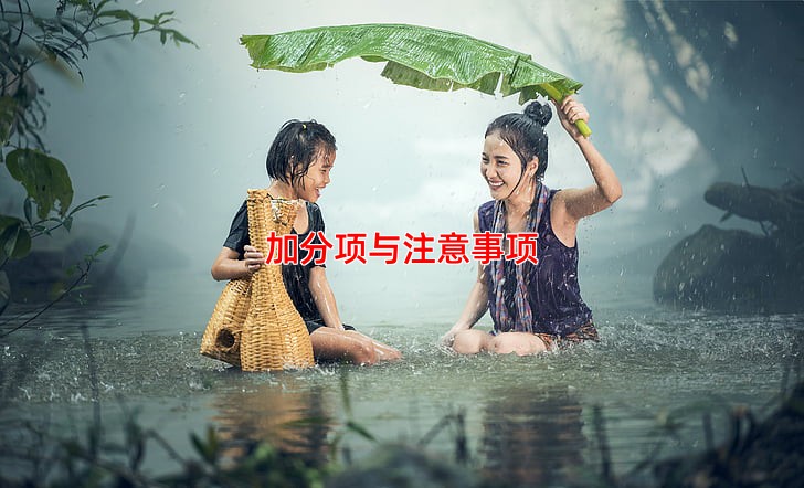 加分项与注意事项