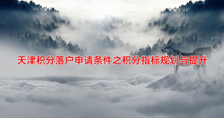 天津积分落户申请条件之积分指标规划与提升