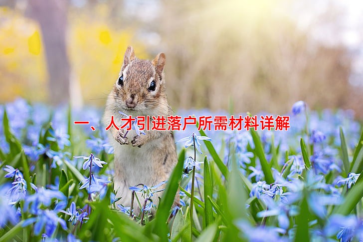 一、人才引进落户所需材料详解