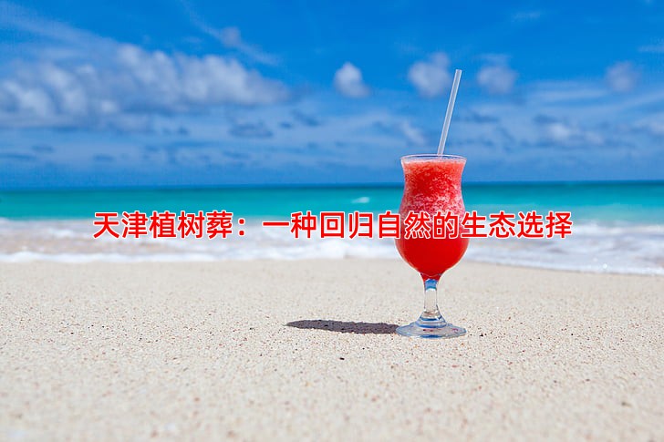 天津植树葬：一种回归自然的生态选择