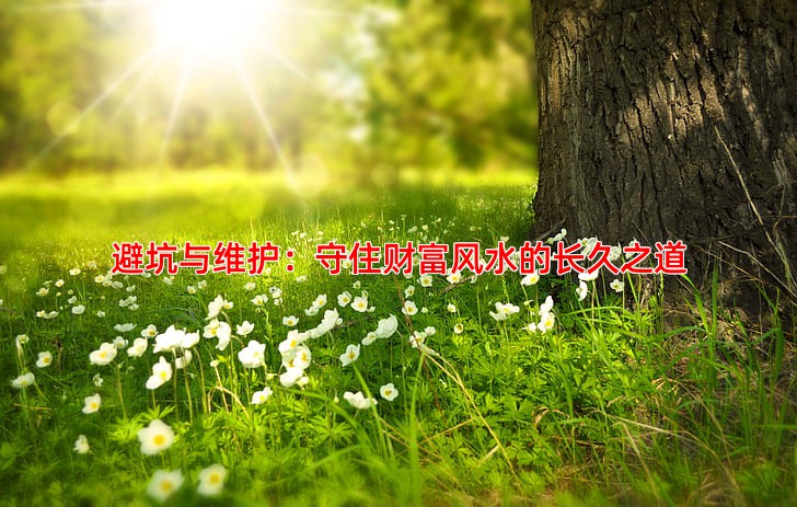 避坑与维护：守住财富风水的长久之道