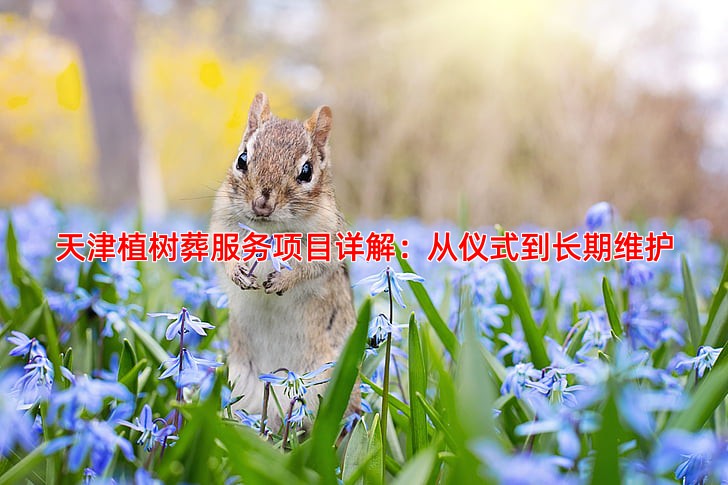 天津植树葬服务项目详解：从仪式到长期维护
