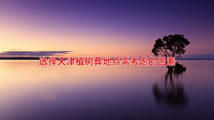 选择天津植树葬地点需考虑的因素