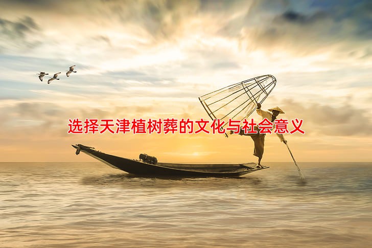 选择天津植树葬的文化与社会意义