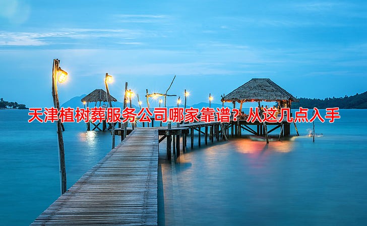 天津植树葬服务公司哪家靠谱？从这几点入手