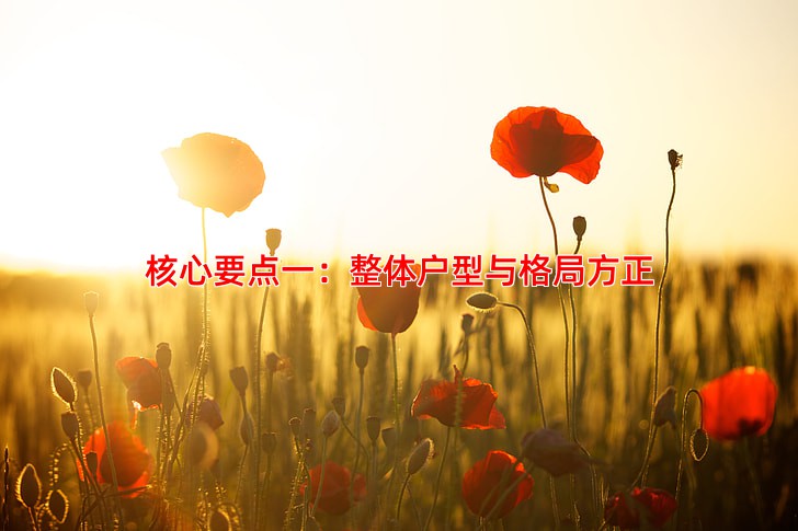 核心要点一：整体户型与格局方正